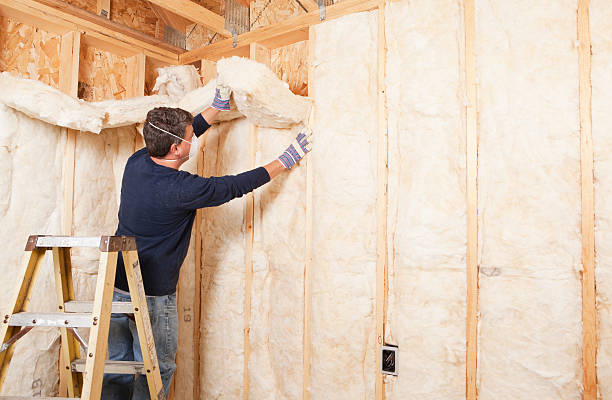 Best Insulation Air Sealing  in USA